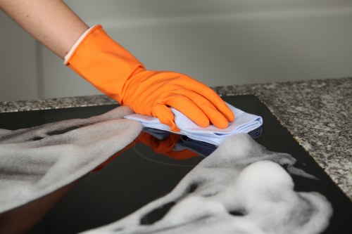 Professional carpet cleaning service for homes in Maidavale