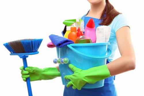 Detailed move out cleaning for a Maidavale rental home