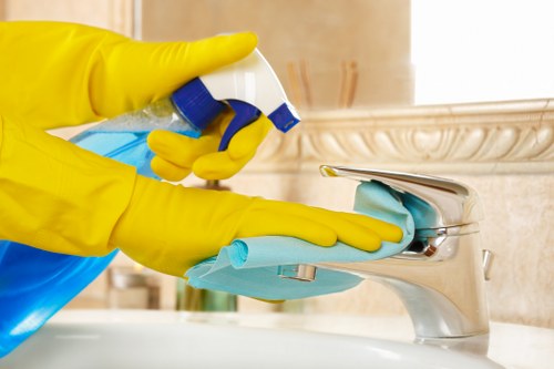 Carpet and upholstery stain treatment for Maidavale customers