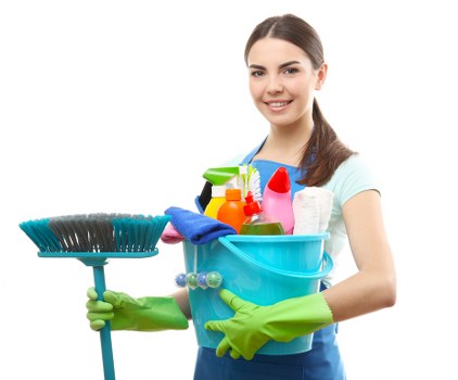 Carpet cleaning process showing deep extraction and stain treatment
