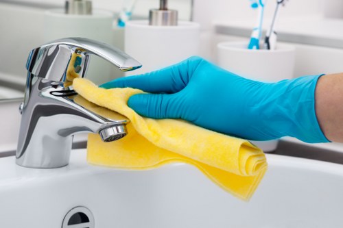 End of tenancy bathroom cleaning in Maidavale property