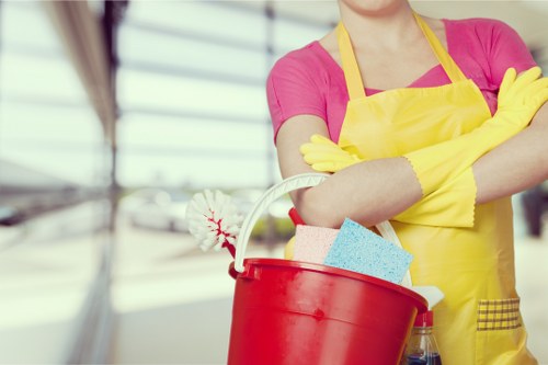 Local gutter cleaning for commercial or residential property in Maidavale