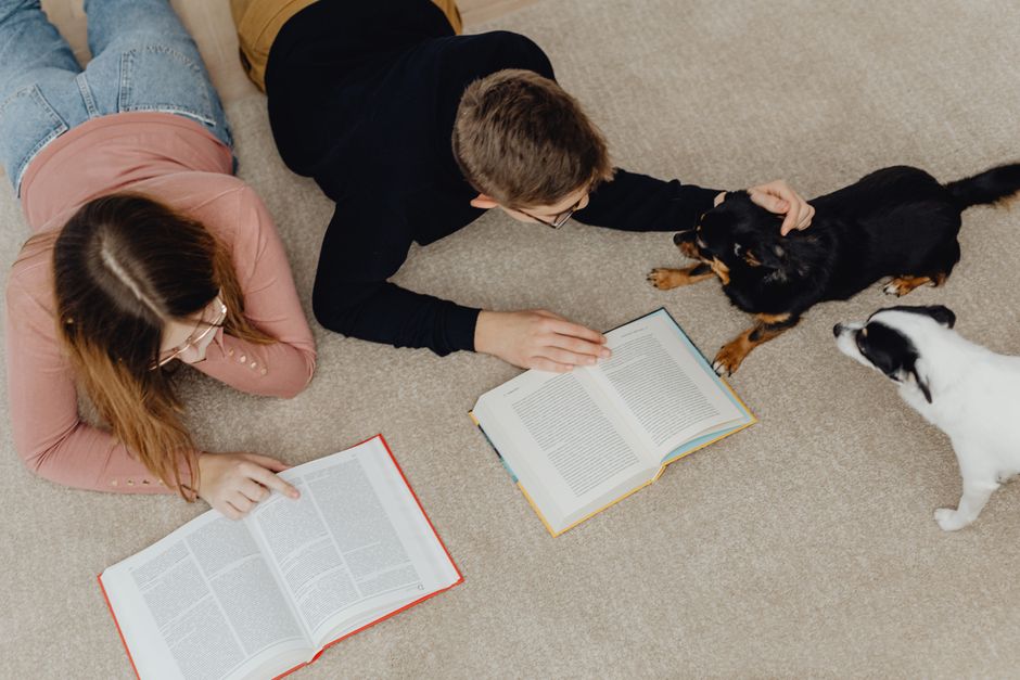 A top-down view of two children, a girl with long brown hair wearing a pink sweater and a boy with short brown hair wearing a black sweater, lying on a beige carpeted floor in a living room. They are reading books with open pages visible. Beside them, two small dogs, one black with tan markings and the other white with black markings, are lying on the carpet. The room has soft, natural lighting, and the carpet appears clean and well-maintained, reflecting thorough surface cleaning and hygiene. The scene depicts a cozy, domestic setting typical of a home where deep cleaning and sanitisation might be recommended to address pet-related stains or odours, aligning with information about common pet stain problems and cleaning solutions from Maida Vale Carpet Cleaners.